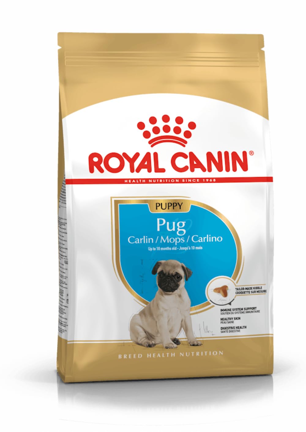 Adult pug carlin/mops/carlino 7.5kg