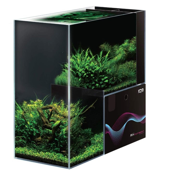 Dymax mini aquarium great