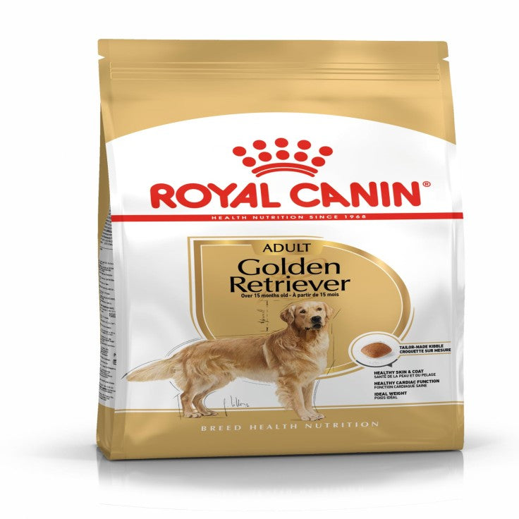 Adult Golden retriever 12kg